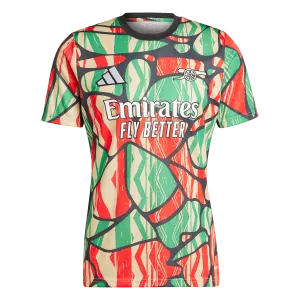 Arsenal 24/25 Pre-Match Jersey (IS9996)