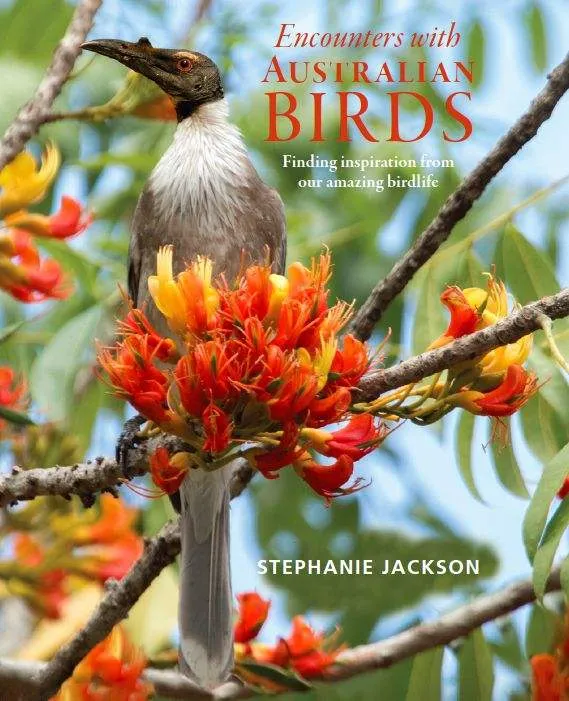 Encounters With Australian Birds: Finding Inspirations from Australia's Amazing Birdlife